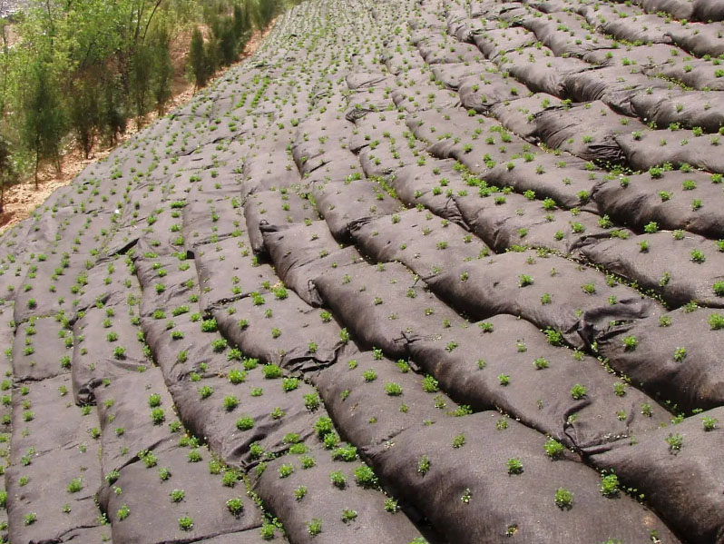 生態(tài)袋